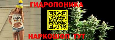 гидра Малгобек