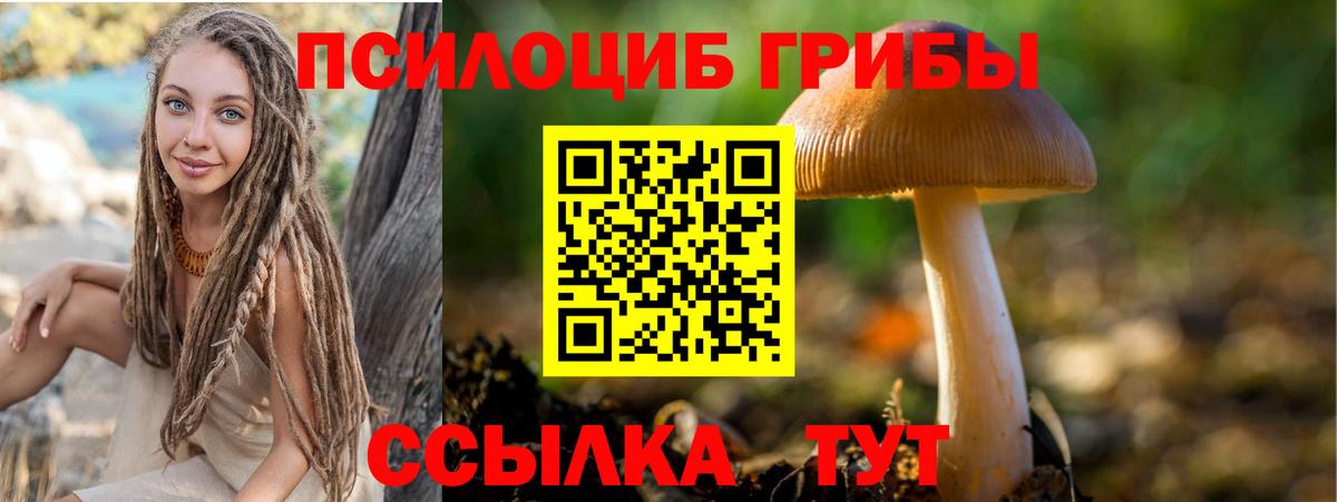 Галлюциногенные грибы прущие грибы Ангарск