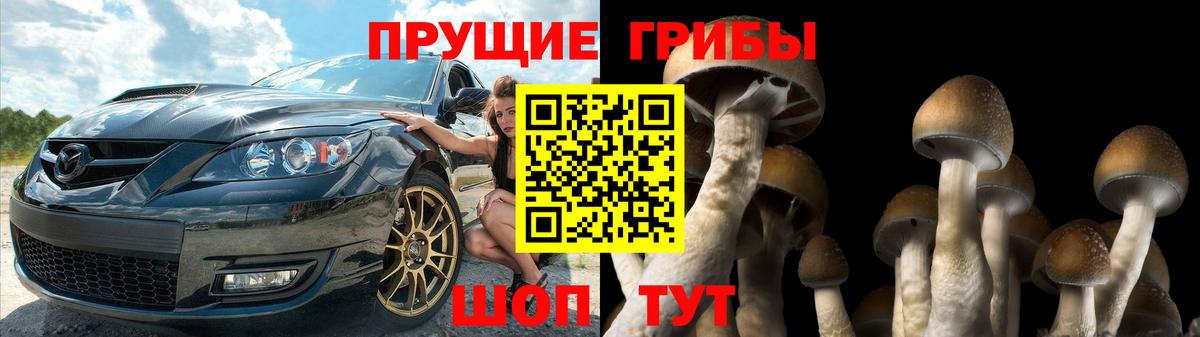 где можно купить   Псилоцибиновые грибы ЛСД  Ангарск  Вход с VPN  Псилоцибиновые грибы ЛСД 